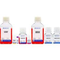 小鼠肺类器官原代分离培养套装