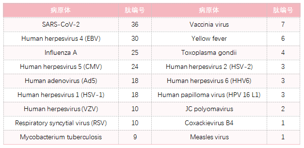 Mabtech肽池新品--PepPool CEFRAS Global (CD8)，Human