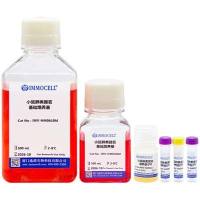 小鼠肺类器官完全培养基