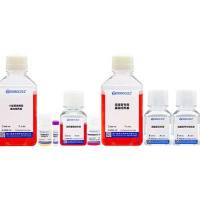 小鼠胃类器官原代分离培养套装