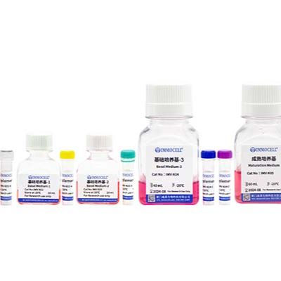 hPSC诱导分化肾类器官试剂盒