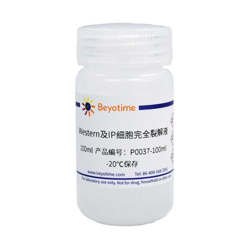 Western及IP细胞完全裂解液