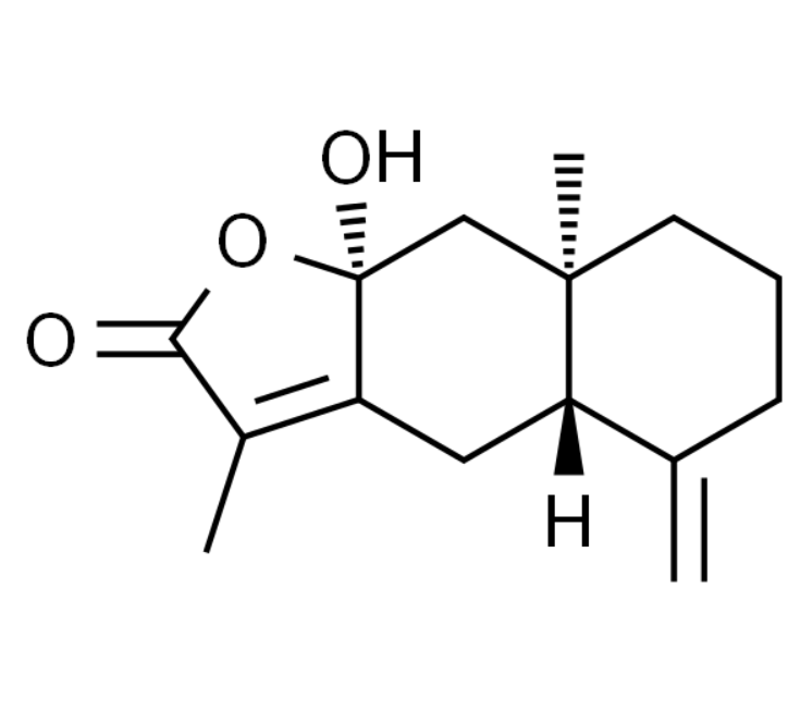 屏幕截图 2025-03-28 101128.png