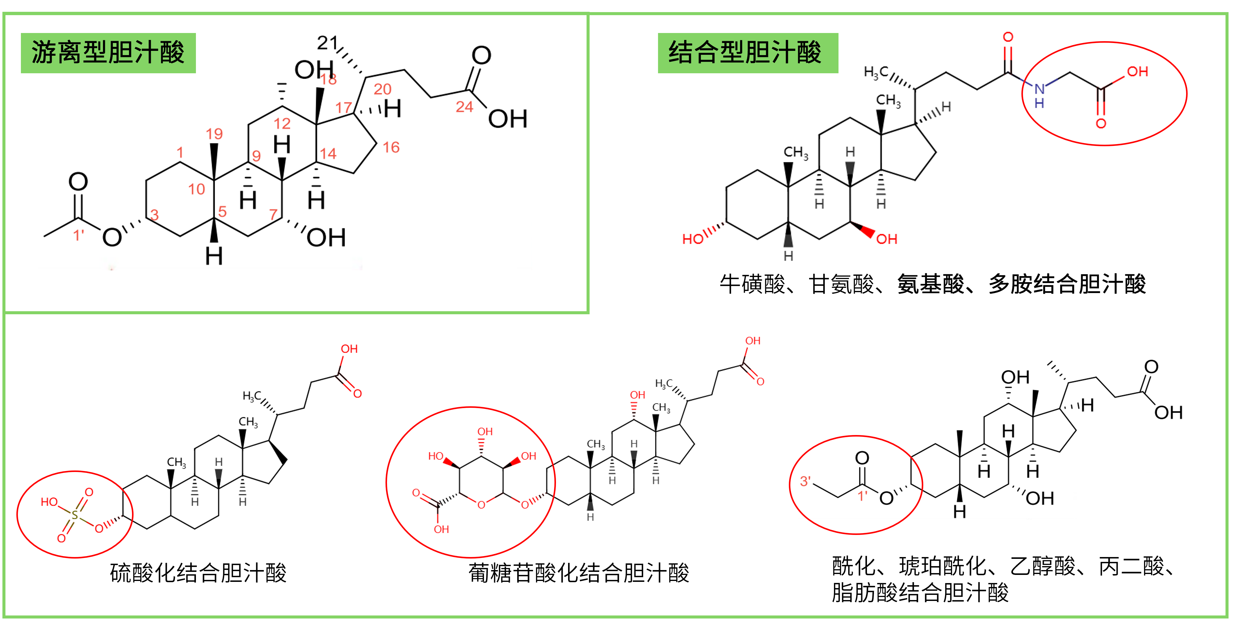 新闻图片2