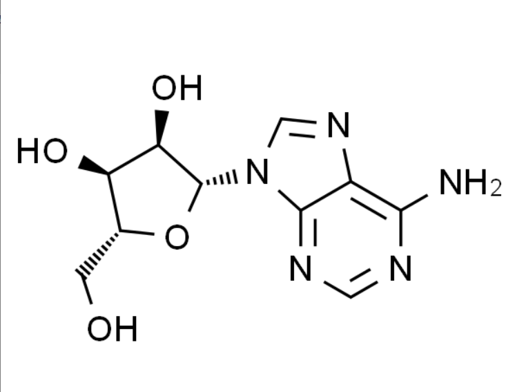 屏幕截图 2025-03-28 152403.png