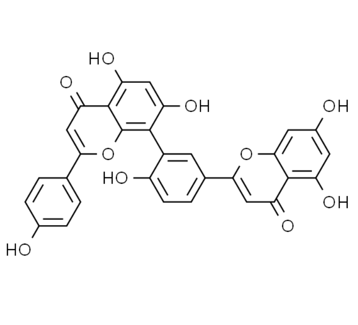屏幕截图 2025-03-28 145746.png