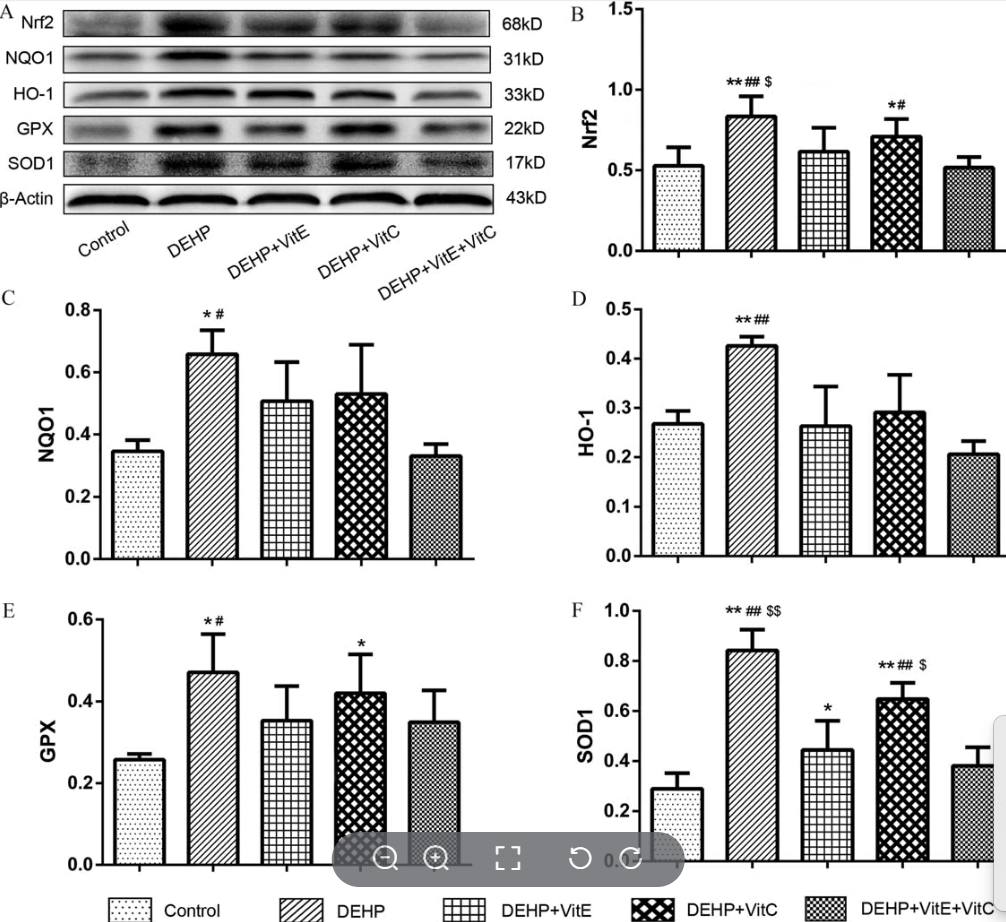 屏幕截图 2025-03-28 104233.png