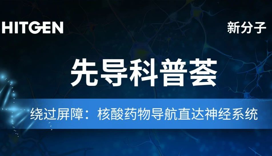 先导科普荟 | 绕过屏障：核酸药物导航直达神经系统