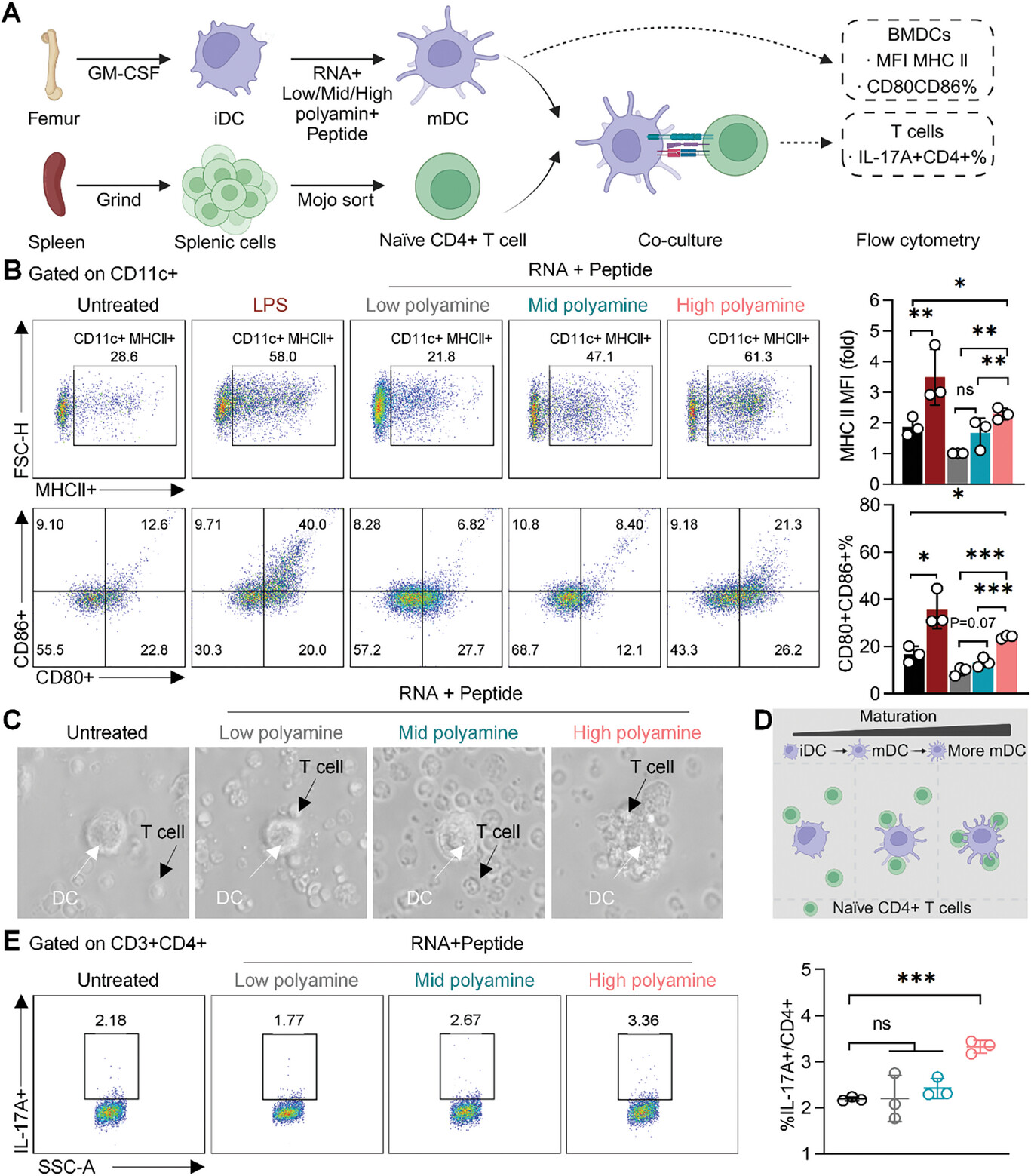 流式细胞术 流式细胞术