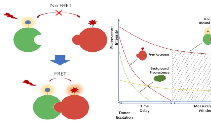 爱必信均相检测解决方案