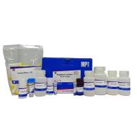 MagBeads粪便RNA提取试剂盒(磁珠法)