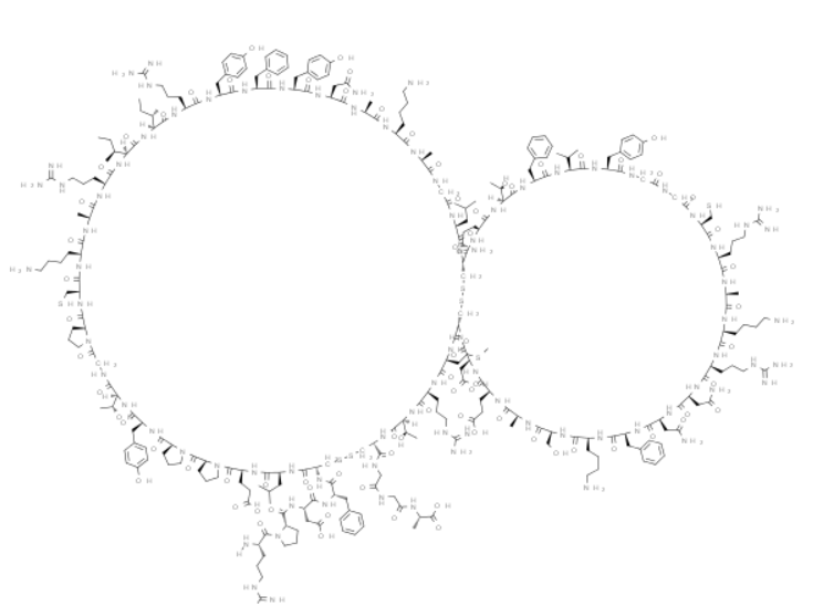 屏幕截图 2025-03-28 113155.png