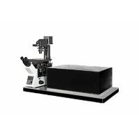 亚细胞激光片层扫描显微镜