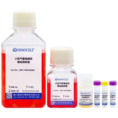 小鼠气管类器官完全培养基