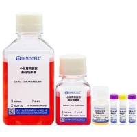 小鼠胃类器官完全培养基