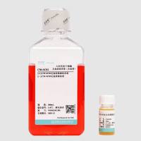 人间充质干细胞无血清培养基（含血替）