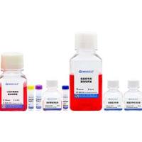 小鼠肝类器官原代分离培养套装