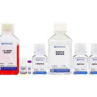 小鼠小肠类器官原代分离培养套装