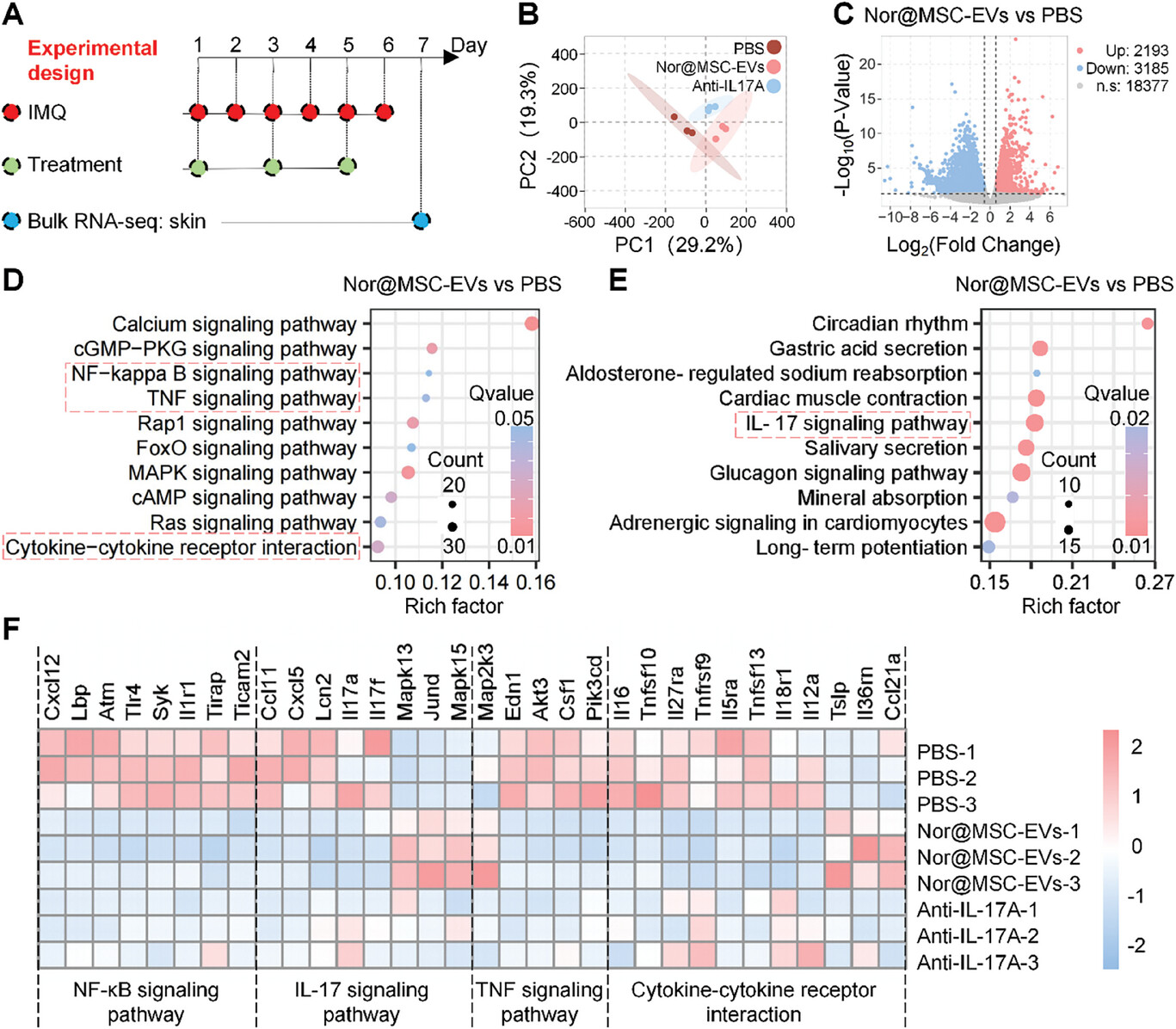 生物信息学分析 生物信息学分析