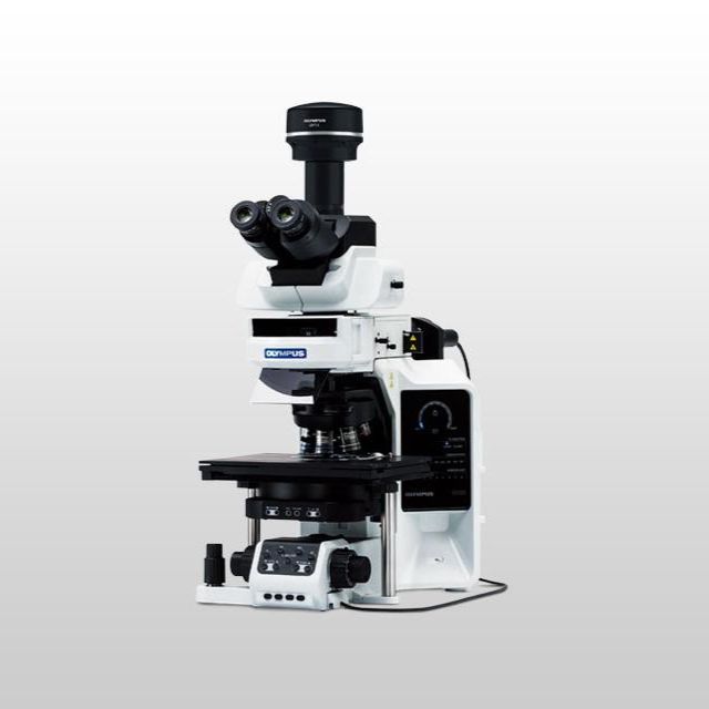 奥林巴斯BX63电动荧光显微镜