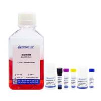 hPSC诱导分化多巴胺神经元祖细胞试剂盒