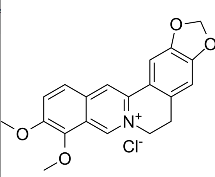 屏幕截图 2025-03-28 090635.png