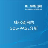 纯化蛋白的SDS-PAGE分析