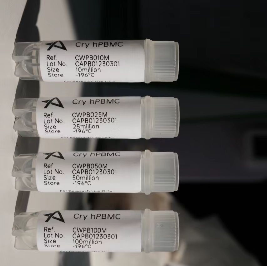 PBMC(外周血单核细胞)13611631389上海雅裕生物※上海睿安生物