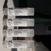 PBMC(外周血单核细胞)13611631389上海雅裕生物※上海睿安生物