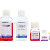 大鼠皮层神经元细胞分离试剂盒