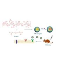 负载阿霉素(DOX)的透明质酸(HA)纳米凝胶被甲基丙烯酸(MA)修饰