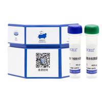 人外周血CD3+ T细胞分离试剂盒（阴选）