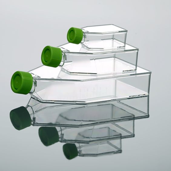 硕华 211400 225cm2,细胞培养瓶,未TC处理,透气盖