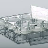 硕华 220100 6孔细胞培养板,平底,TC处理