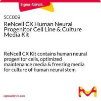 默克Merck ReNcell CX Human Neural Progenitor Cell Line Kit