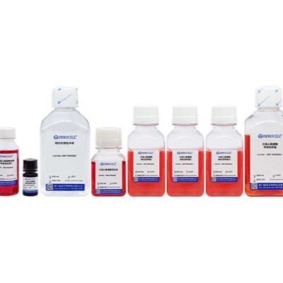 大鼠心肌细胞分离试剂盒