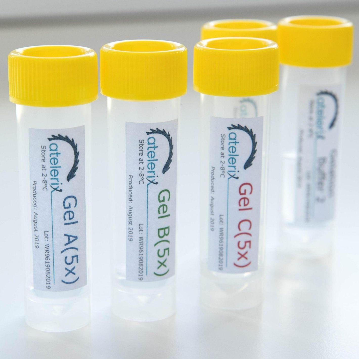 WellReady孔板模型常温保存凝胶-Atelerix品牌