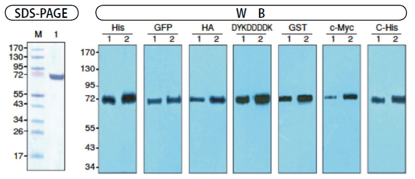 1715002767428319.gif 1715002767428319.gif