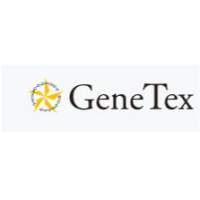 GeneTex  GTX629744 Vimentin抗体 [GT812]