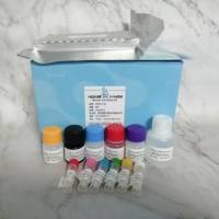 小鼠生长激素(GH)ELISA试剂盒