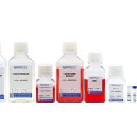 小鼠肝窦内皮细胞分离试剂盒