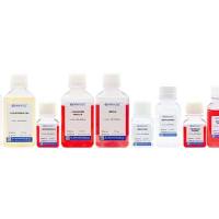 小鼠肝星状细胞分离试剂盒