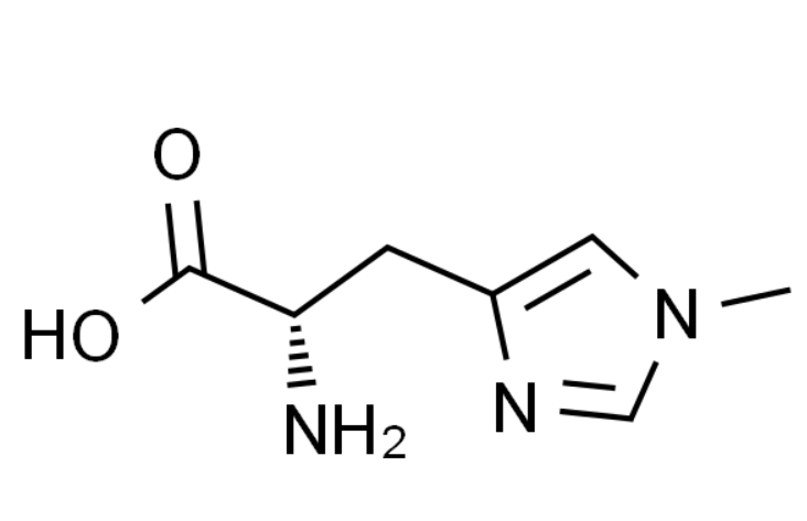 屏幕截图 2025-03-31 134852.png