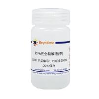 RIPA完全裂解液(中)