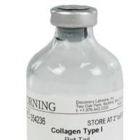 Corning® 鼠尾胶原 Collagen I, Rat Tail, 100mg（354236）