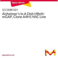  默克Merck Alzheimer's In A Dish™ HReN-mGAP, Clone A4H1 NSC Line