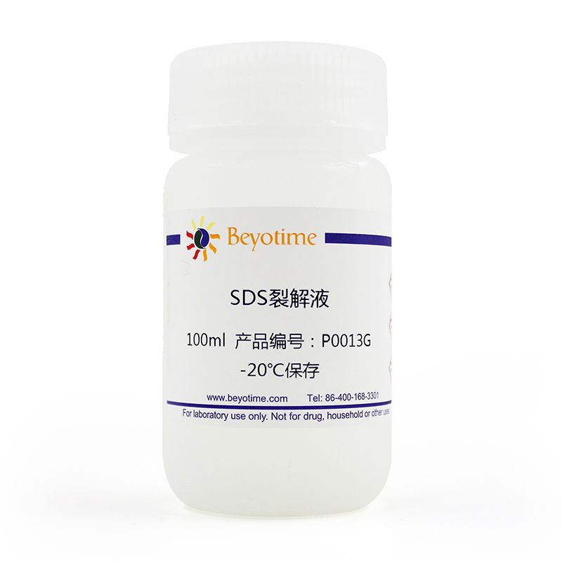 SDS裂解液