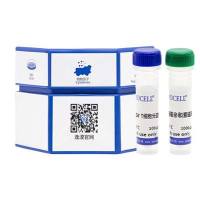 人外周血CD4+ T细胞分离试剂盒（阴选）