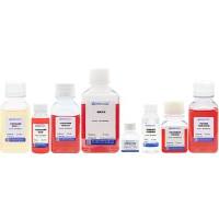 大鼠肝星状细胞分离试剂盒