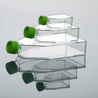 硕华 210200 75cm2,细胞培养瓶,TC处理,透气盖